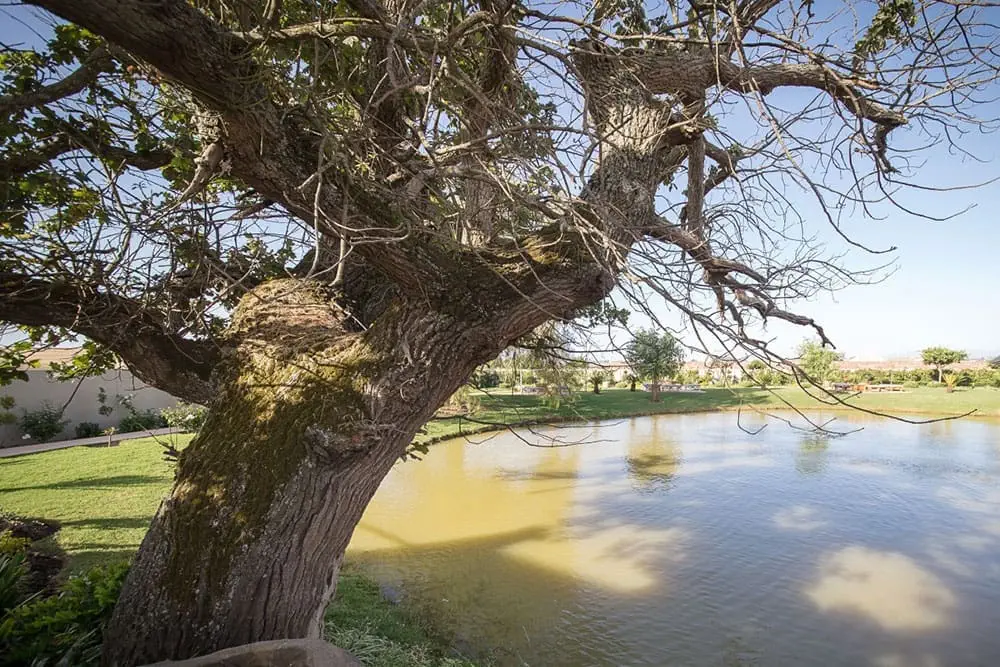 Actividad Terrestre Secretaría de Turismo La Pampa Original